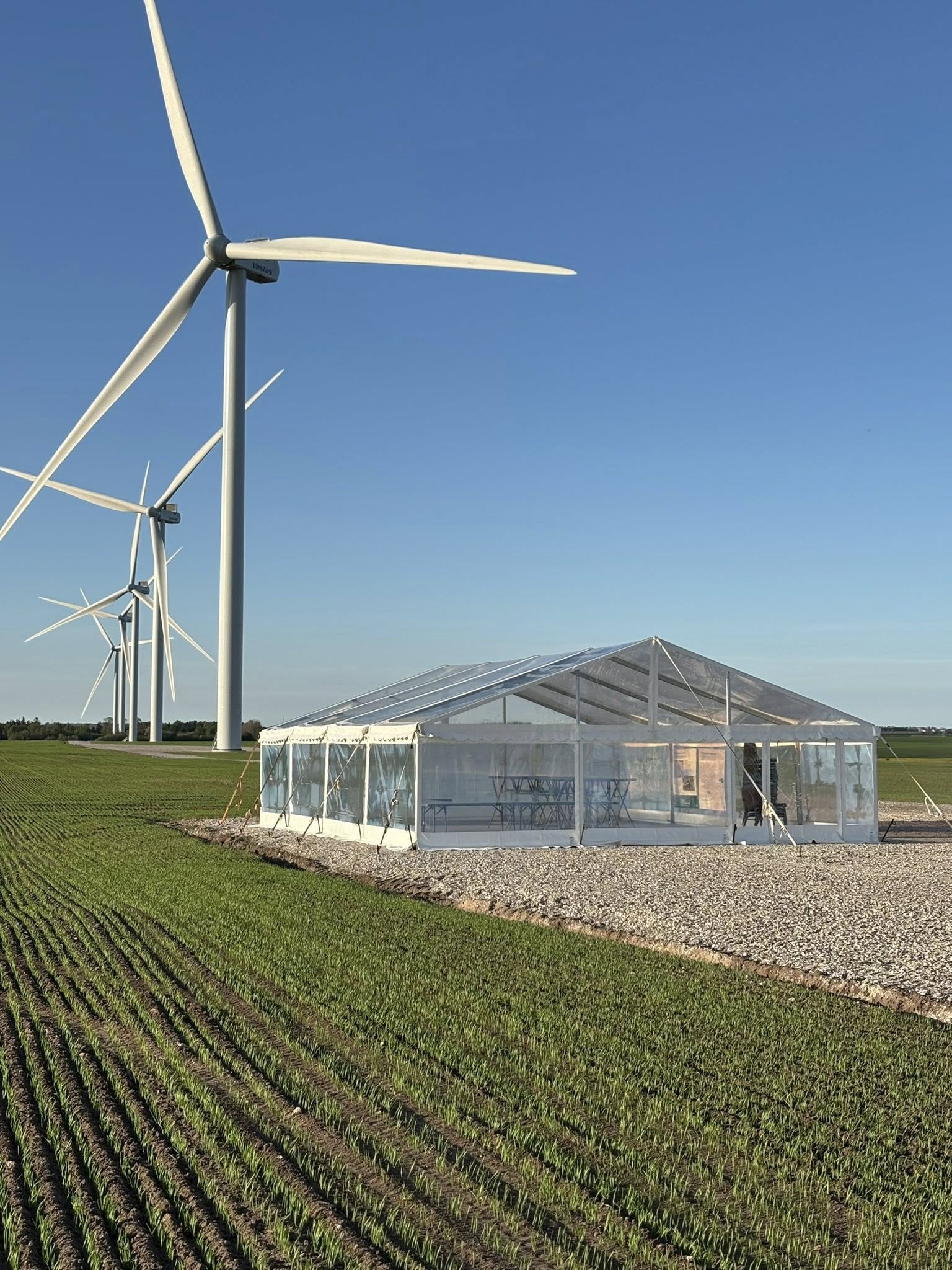 Eight shirts arranged on table in black, olive, grey, blue, white, red, mustard, and green.
