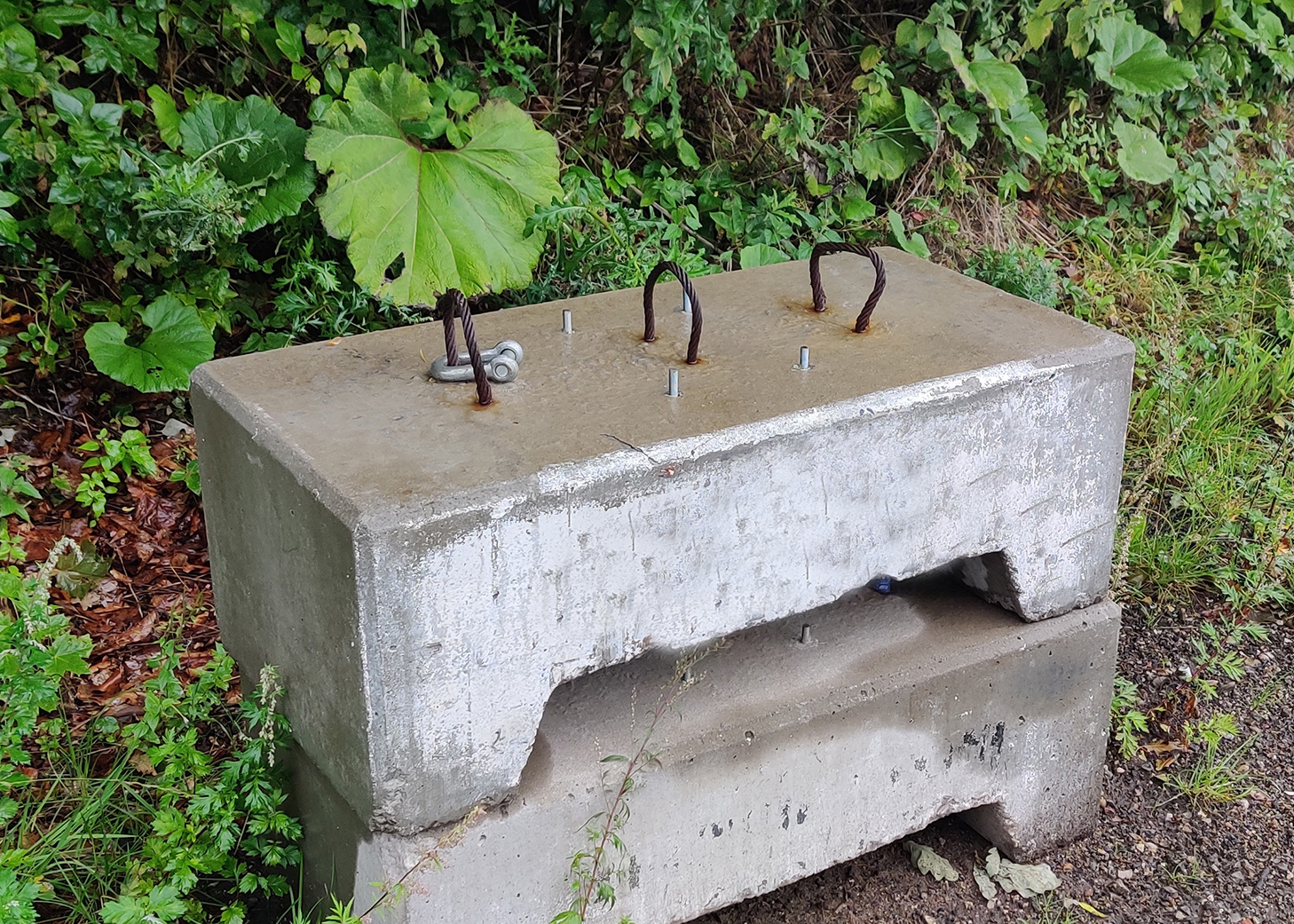 Eight shirts arranged on table in black, olive, grey, blue, white, red, mustard, and green.